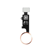 JC Bouton Home 3D iPhone (Rose)