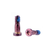 Vis Torx Rose Or iPhone 6S/6S Plus (x10)
